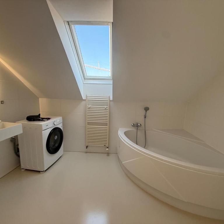 Graz City Penthouse - Apartamento de 1 dormitorio - 27