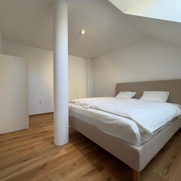 Graz City Penthouse - Apartamento de 1 dormitorio - 23