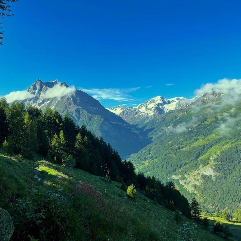 Chalet authentique avec vue panoramique, La Sage - Chalet mit 3 Schlafzimmern - 10