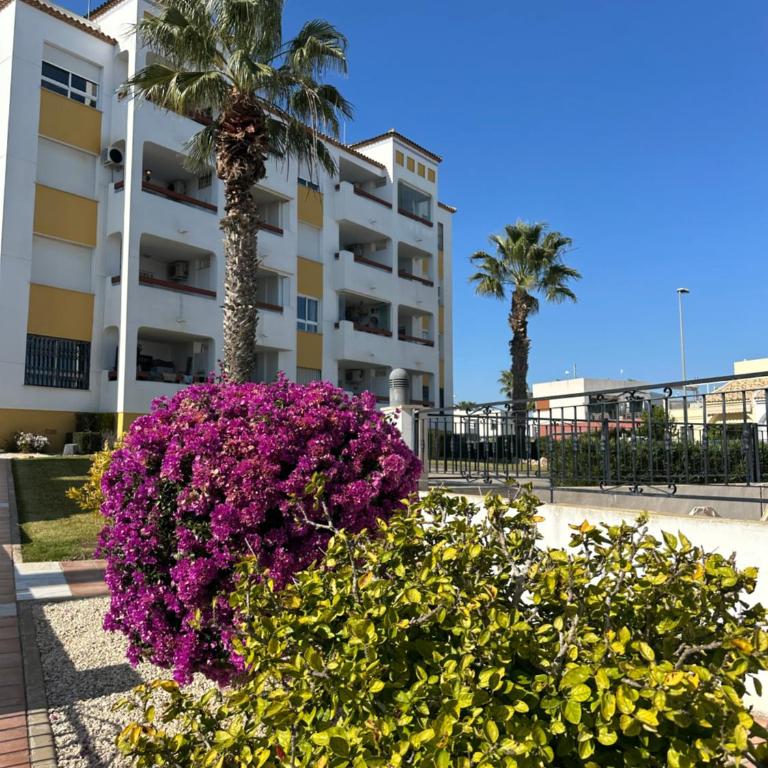 Costa Blanca Beach Apartment with Sunny Balcony & Pool - Apartamento de 2 dormitorios - 43