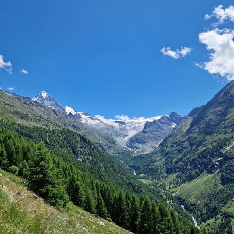 Chalet authentique avec vue panoramique, La Sage - Chalet mit 3 Schlafzimmern - 16