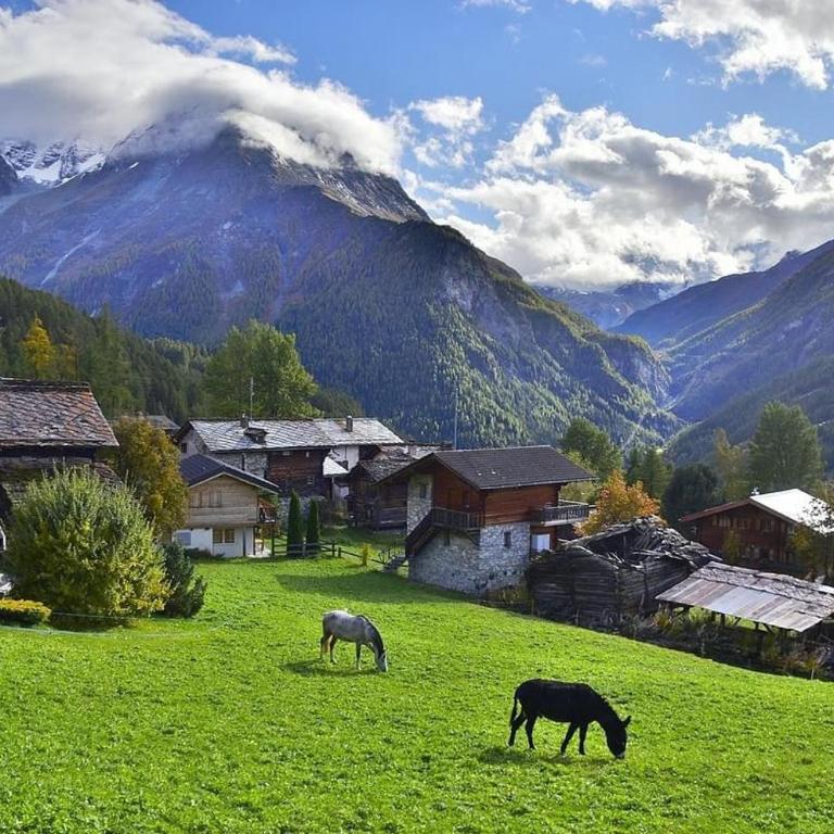 Chalet authentique avec vue panoramique, La Sage - Chalet mit 3 Schlafzimmern - 18