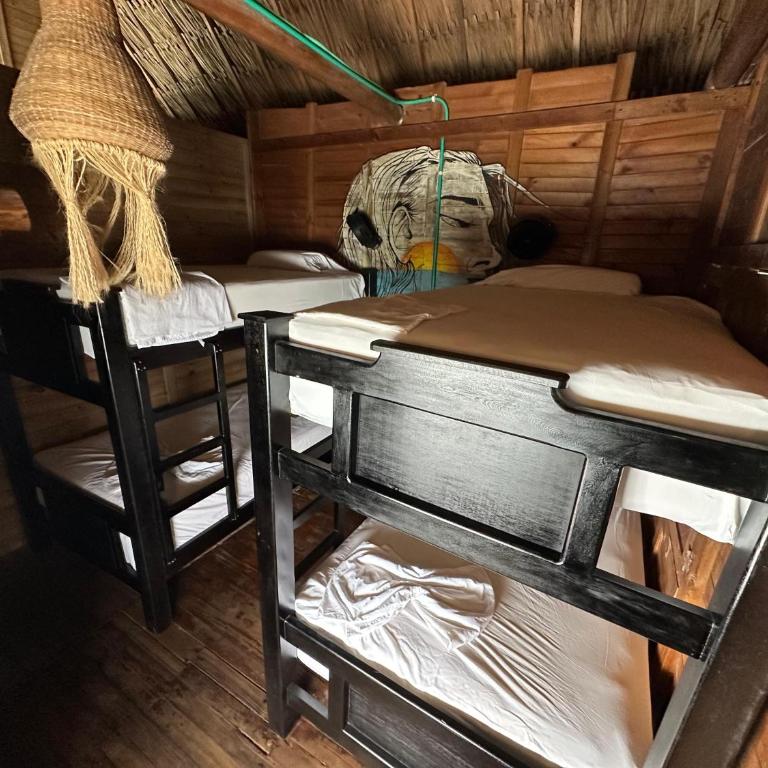 Casa en el agua - Bed in 4-Bed Mixed Dormitory Room - 2