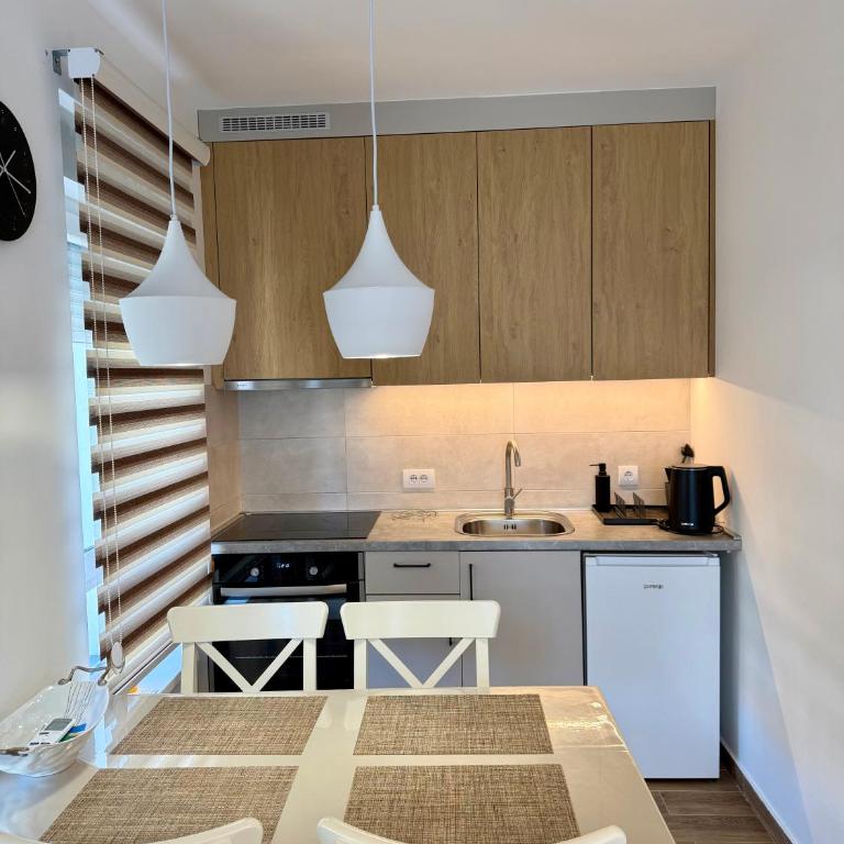 Verde Apartman Sokobanja - Apartman sa 1 Spavaćom Sobom - 8