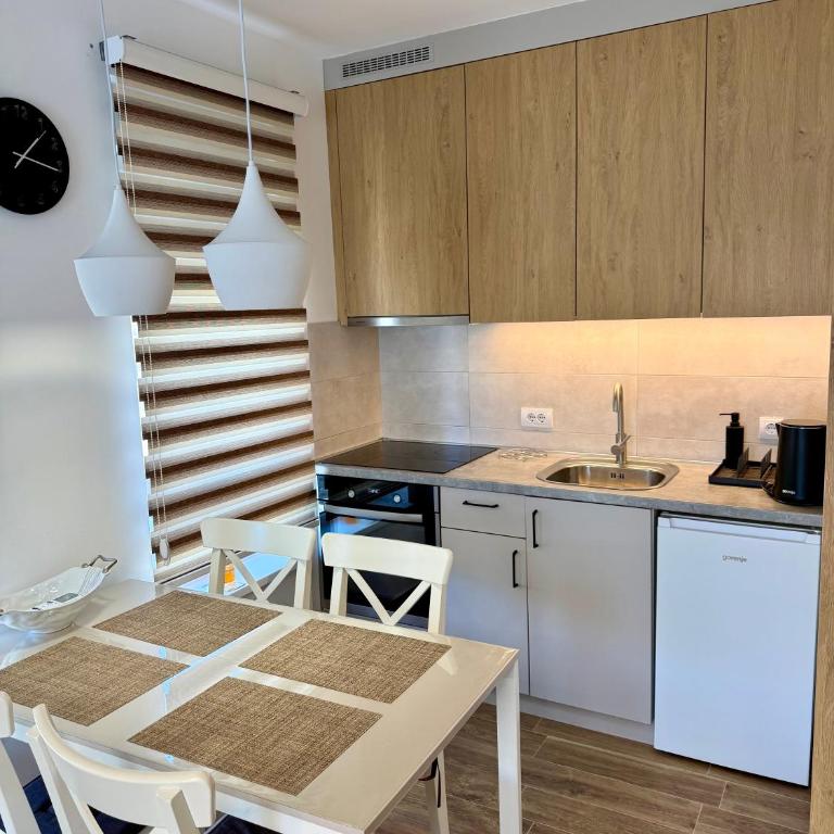 Verde Apartman Sokobanja - Apartman sa 1 Spavaćom Sobom - 10