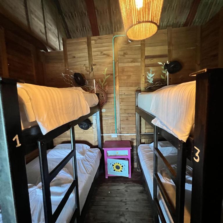 Casa en el agua - Bed in 4-Bed Mixed Dormitory Room - 1