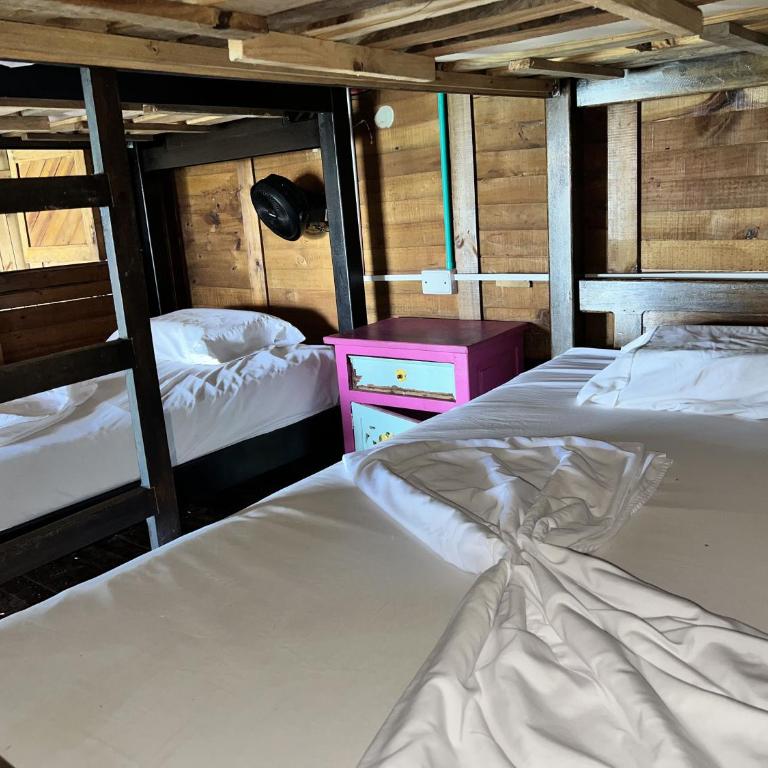 Casa en el agua - Bed in 4-Bed Mixed Dormitory Room - 3