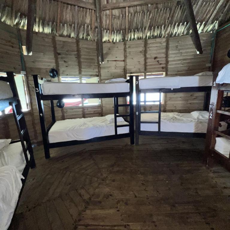 Casa en el agua - Bed in 8-Bed Mixed Dormitory Room - 3