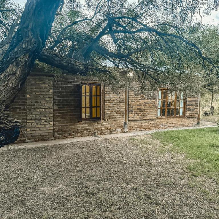 Cabaña Bella Luz - Two-Bedroom Chalet - 10