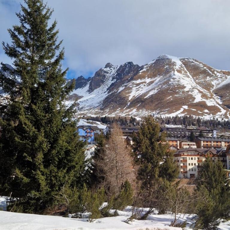 Il Cuore del Tonale - Appartamento con Vista Montagna - 48