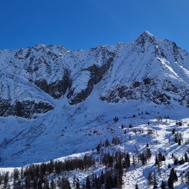 Il Cuore del Tonale - Appartamento con Vista Montagna - 52