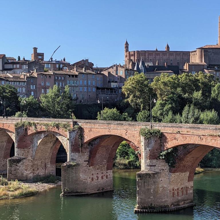 Gite le Foch, large gite in Albi, ideal for Families - Apartment - 17