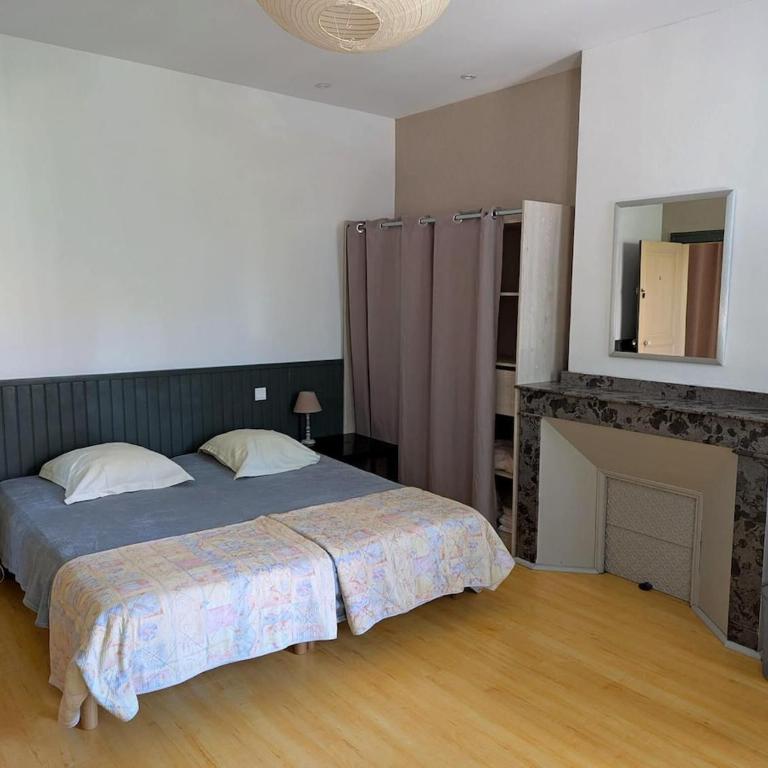 Gite le Foch, large gite in Albi, ideal for Families - Apartment - 7