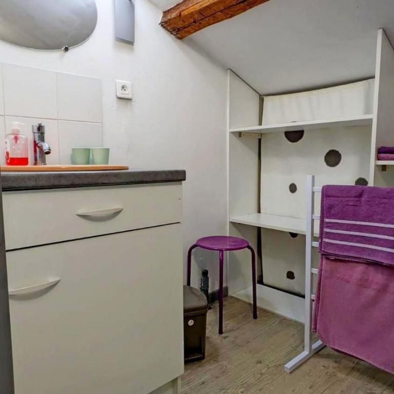 Gite le Foch, large gite in Albi, ideal for Families - Apartment - 14