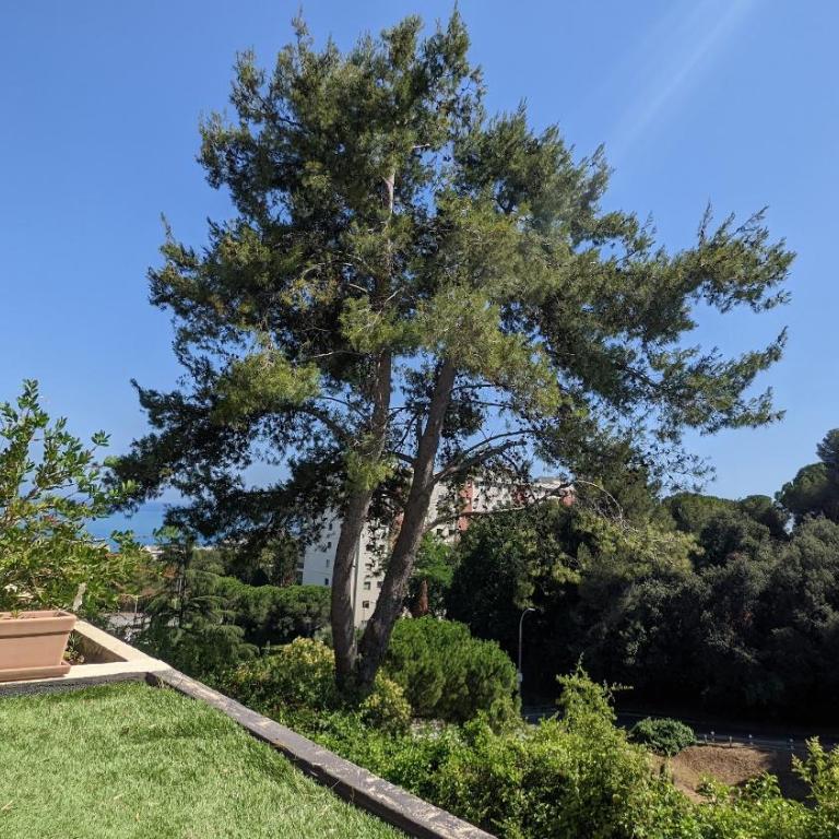 Studio avec Terrasse - Piscine - Tennis - Gardien - Appartement 1 Chambre - 36