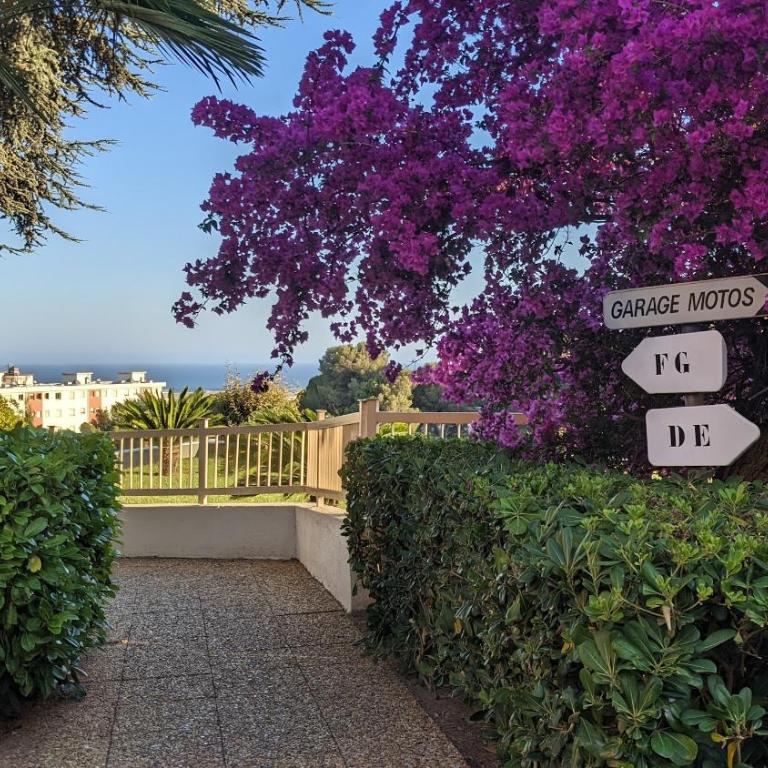 Studio avec Terrasse - Piscine - Tennis - Gardien - Appartement 1 Chambre - 35