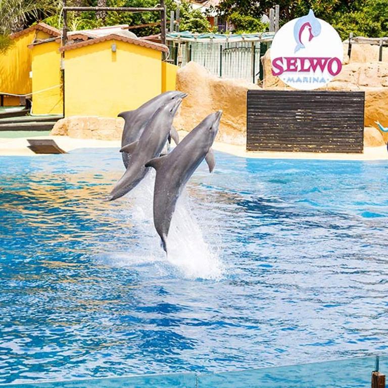 Benalmádena, apartamento con piscina y pista de pádel - Apartamento de 2 dormitorios - 27