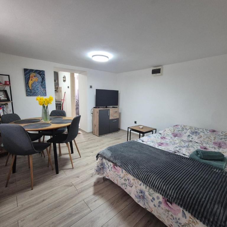Apartman Kanarinac - Apartman sa 1 Spavaćom Sobom - 18