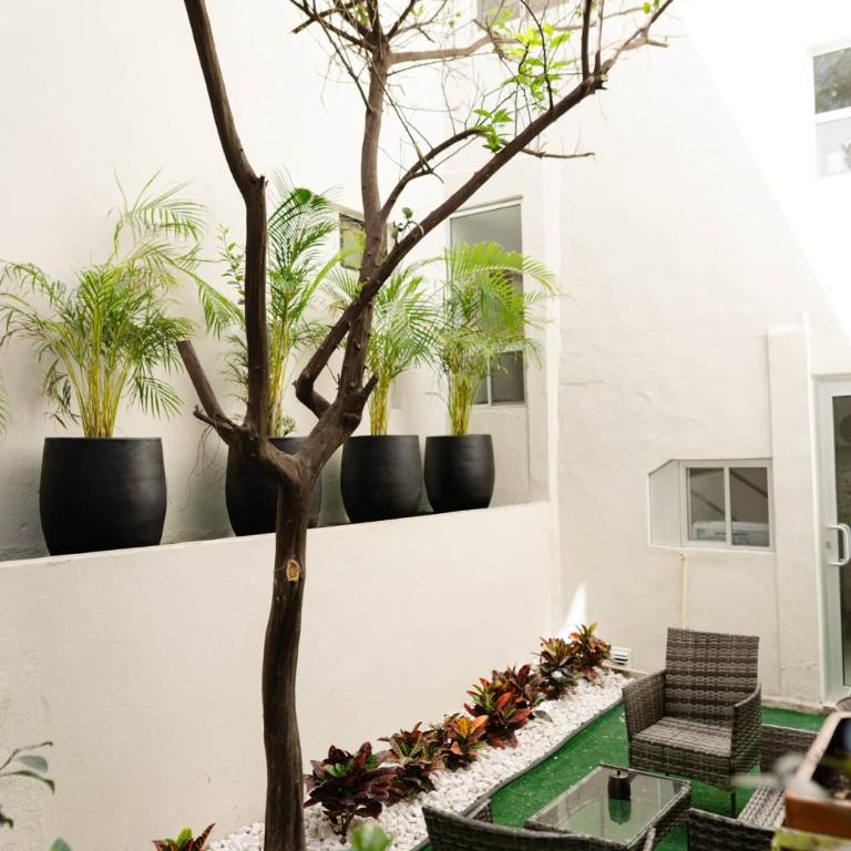 Suite Amplia MTY Familia en Monterrey - Apartment - 35