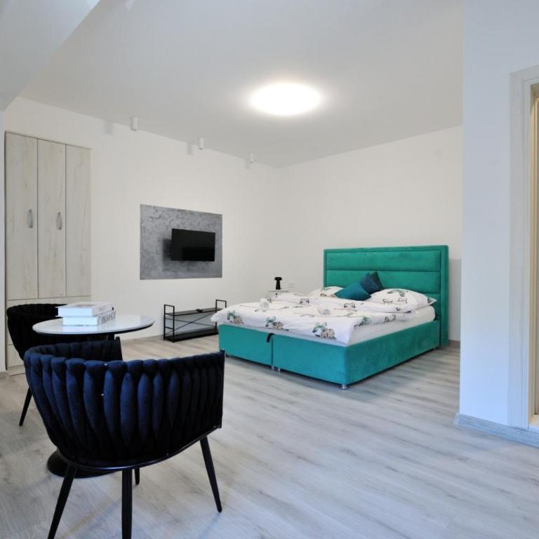 Palace apartments Mostar - Studio - 2