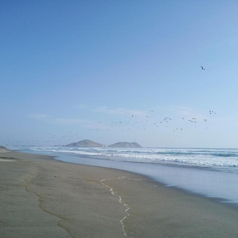 Casa Los Reyes Eco-Refuge by the Sea - Casa de 4 dormitorios - 1