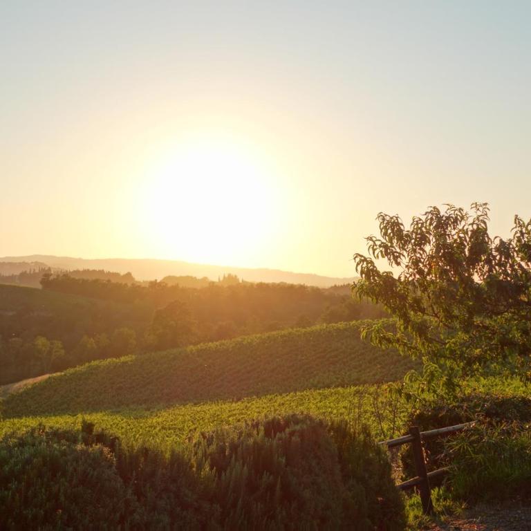 Agriturismo Montegonfoli - Double Room with Garden View - 2