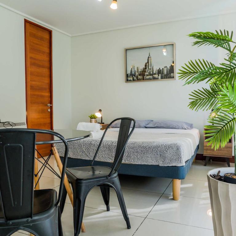 Delightful Studio Apartment in Las Condes - Studio - 20