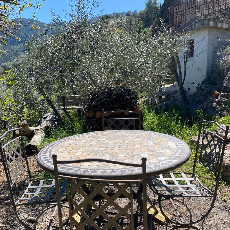 Bas de villa au milieu des oliviers. - Appartement 1 Chambre - 28