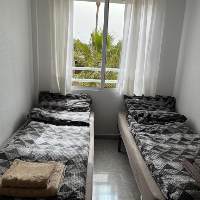 Casa Pasztor LA MATA, Los Leandros, Calle Gerona - Apartamento de 2 dormitorios - 11