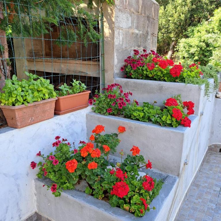 Domus de sole - Appartamento con 2 Camere da Letto e Terrazza - 4