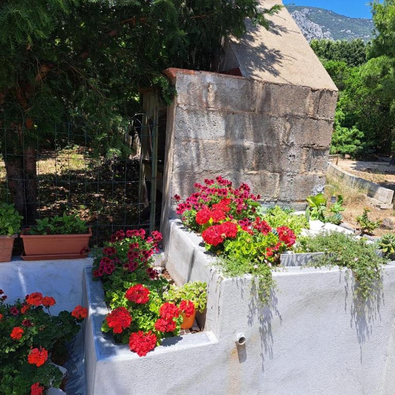 Domus de sole - Appartamento con 2 Camere da Letto e Terrazza - 5