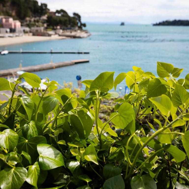 Il Nido a Portovenere - Appartamento con 1 Camera da Letto - 27