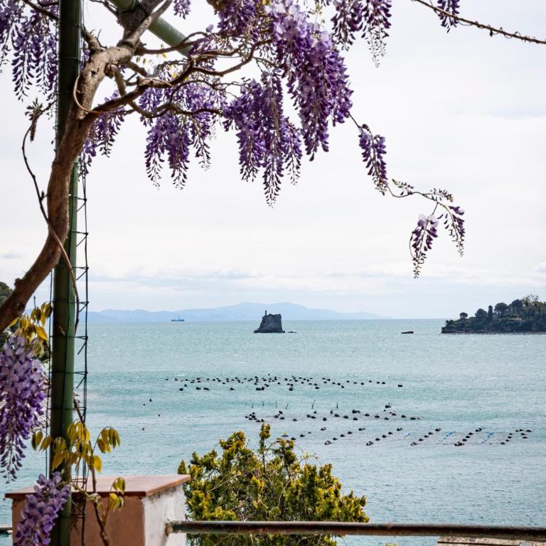 Il Nido a Portovenere - Appartamento con 1 Camera da Letto - 36