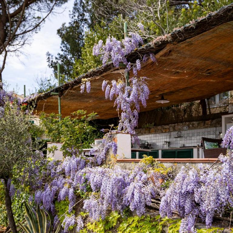 Il Nido a Portovenere - Appartamento con 1 Camera da Letto - 68