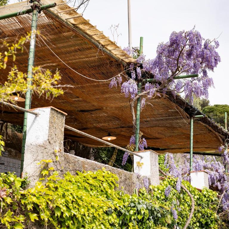 Il Nido a Portovenere - Appartamento con 1 Camera da Letto - 61