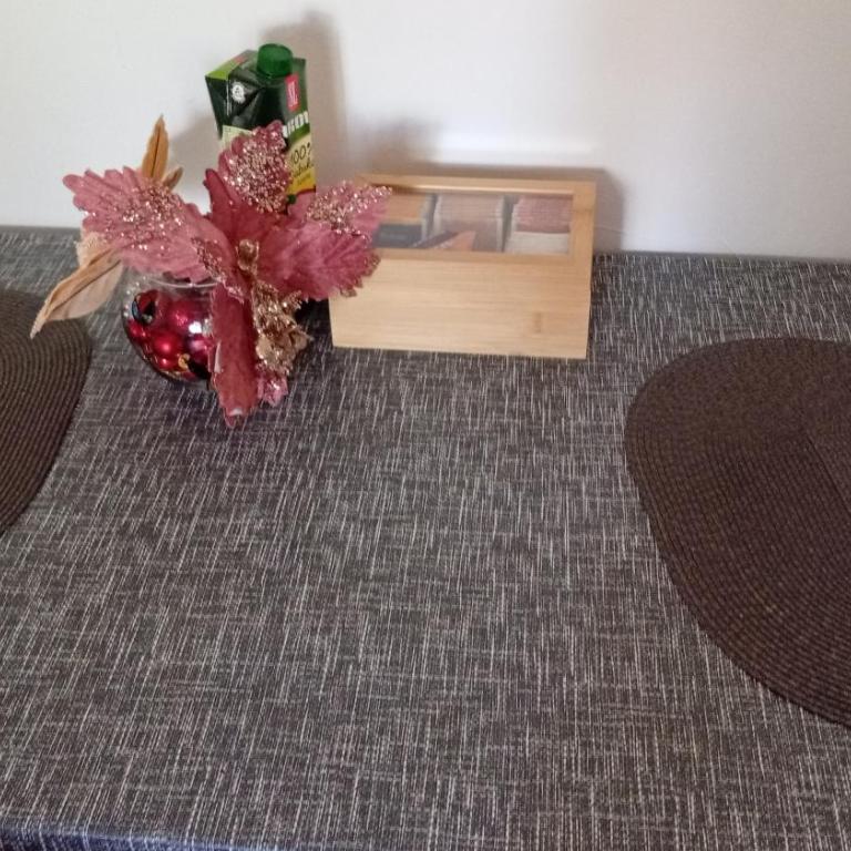 Apartman Kaća - Apartment with Balcony - 3