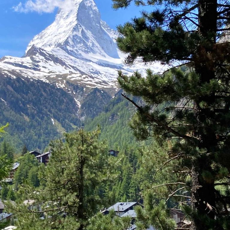 Studio Chalet with terrace & Matterhorn view - Apartment - 3