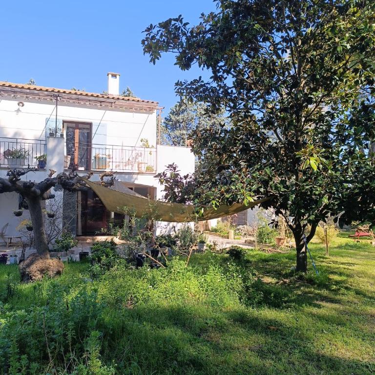 Studio La Provençale - Double Room with Terrace - 12