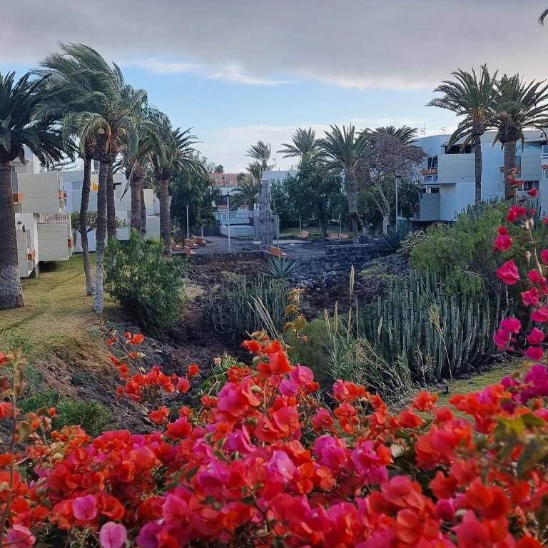 Primavera, POOL & WIFI & 24H SECURITY - Apartamento de 1 dormitorio - 15