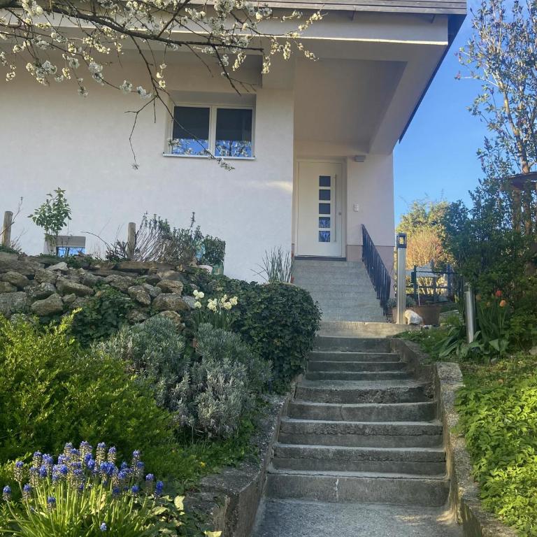 Villa Zaubertal Linz - Viel Raum - 86m2 für Familie, Natur & Arbeit nahe der Stadt - Apartment - Erdgeschoss - 1