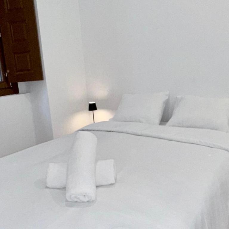 B- Lavándula - Apartamento de 1 dormitorio - 1