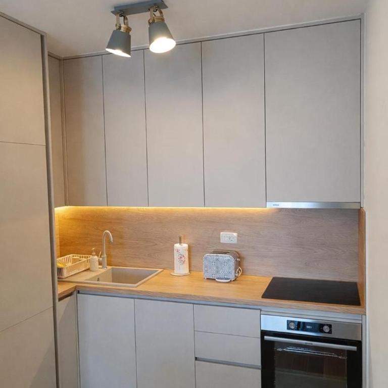 Premium Rent Podgorica - Apartman sa 1 Spavaćom Sobom - 4