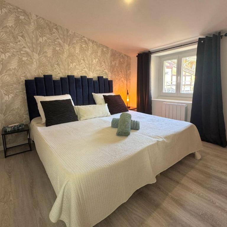 La Perollerie - Charmant appartement Centre ville - Appartement 1 Chambre - 1
