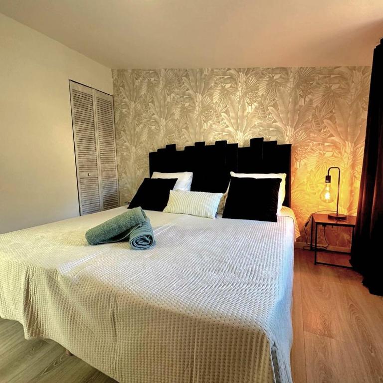 La Perollerie - Charmant appartement Centre ville - Appartement 1 Chambre - 3