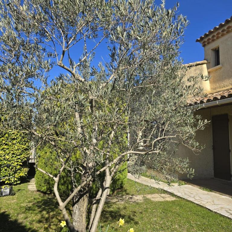 Maison Escapade et jardin à 5 minutes du centre avec piscine et parking - à 2 pas du Partage des eaux - Three-Bedroom Villa - 22