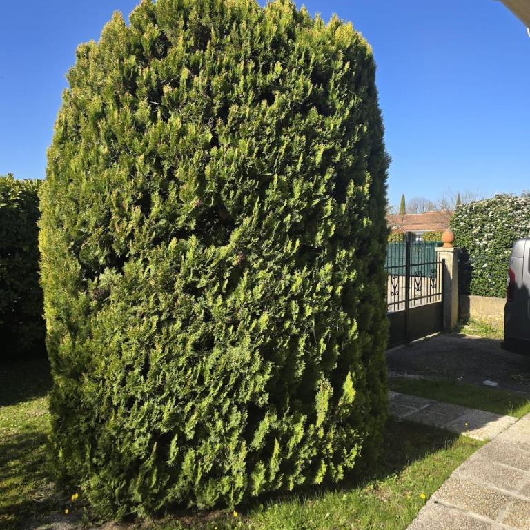 Maison Escapade et jardin à 5 minutes du centre avec piscine et parking - à 2 pas du Partage des eaux - Three-Bedroom Villa - 28