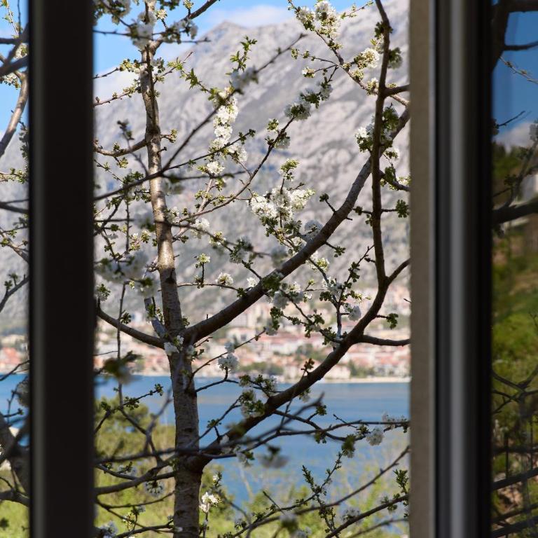 Kotor Vista Tranquil Seaview by MN Property - Apartman sa 2 Spavaće Sobe - 12