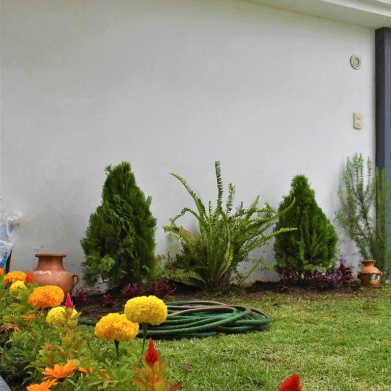 Linda casa de 2 pisos en la mejor zona de Arequipa - Casa con 1 dormitorio - 36