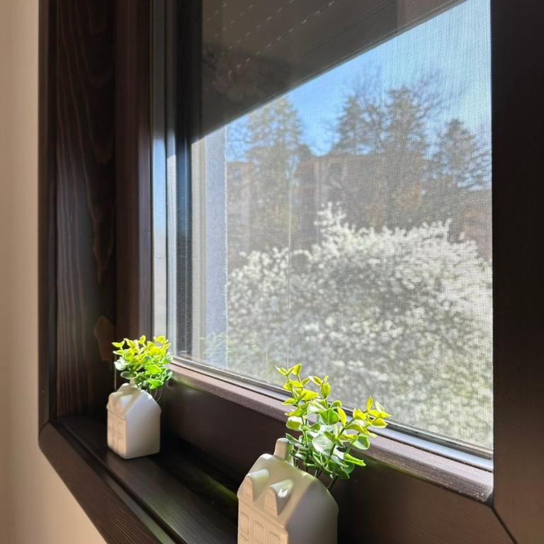 Dea Lux - Apartman sa 1 Spavaćom Sobom - 11
