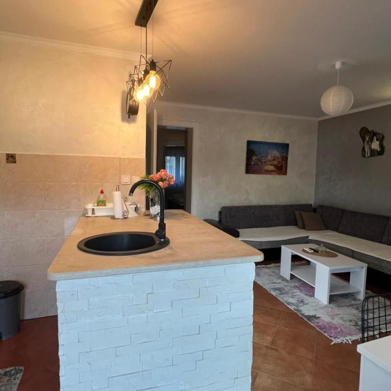 Vesa apartments - Apartman sa 1 Spavaćom Sobom - 7